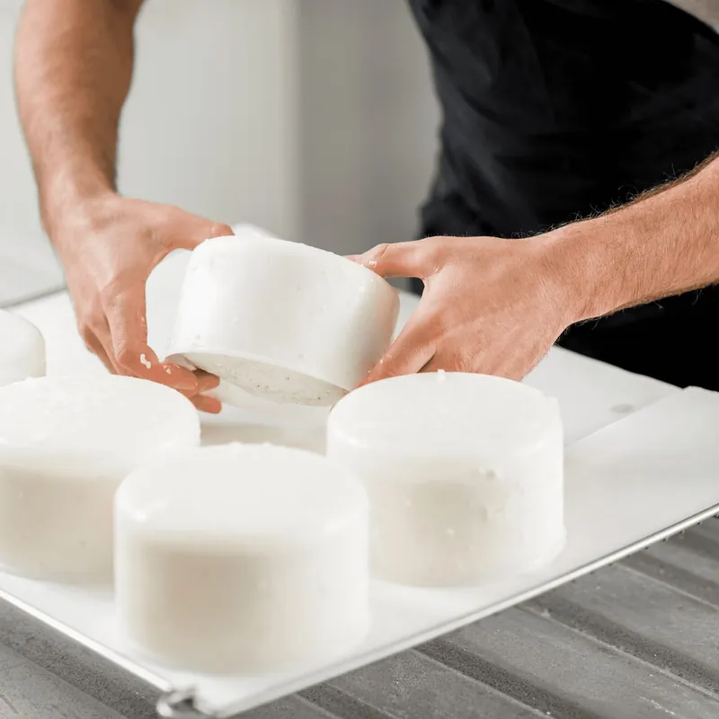 Selbst gemachter Frischkäse in seinen Formen