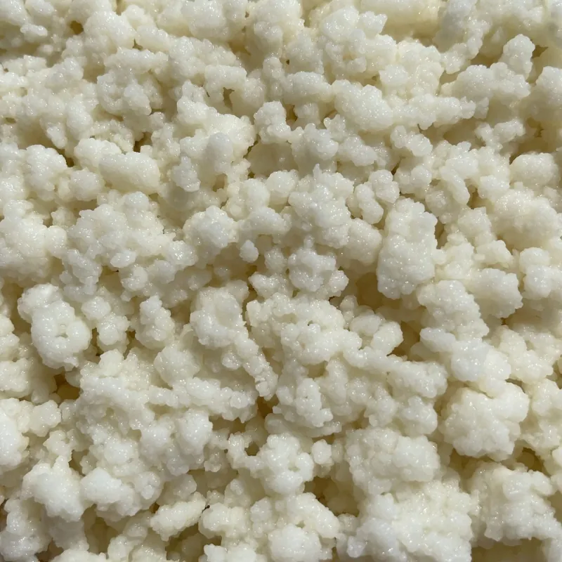 Milchkefir-Knollen