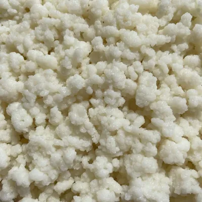 Witte melkkefir korrels van dichtbij